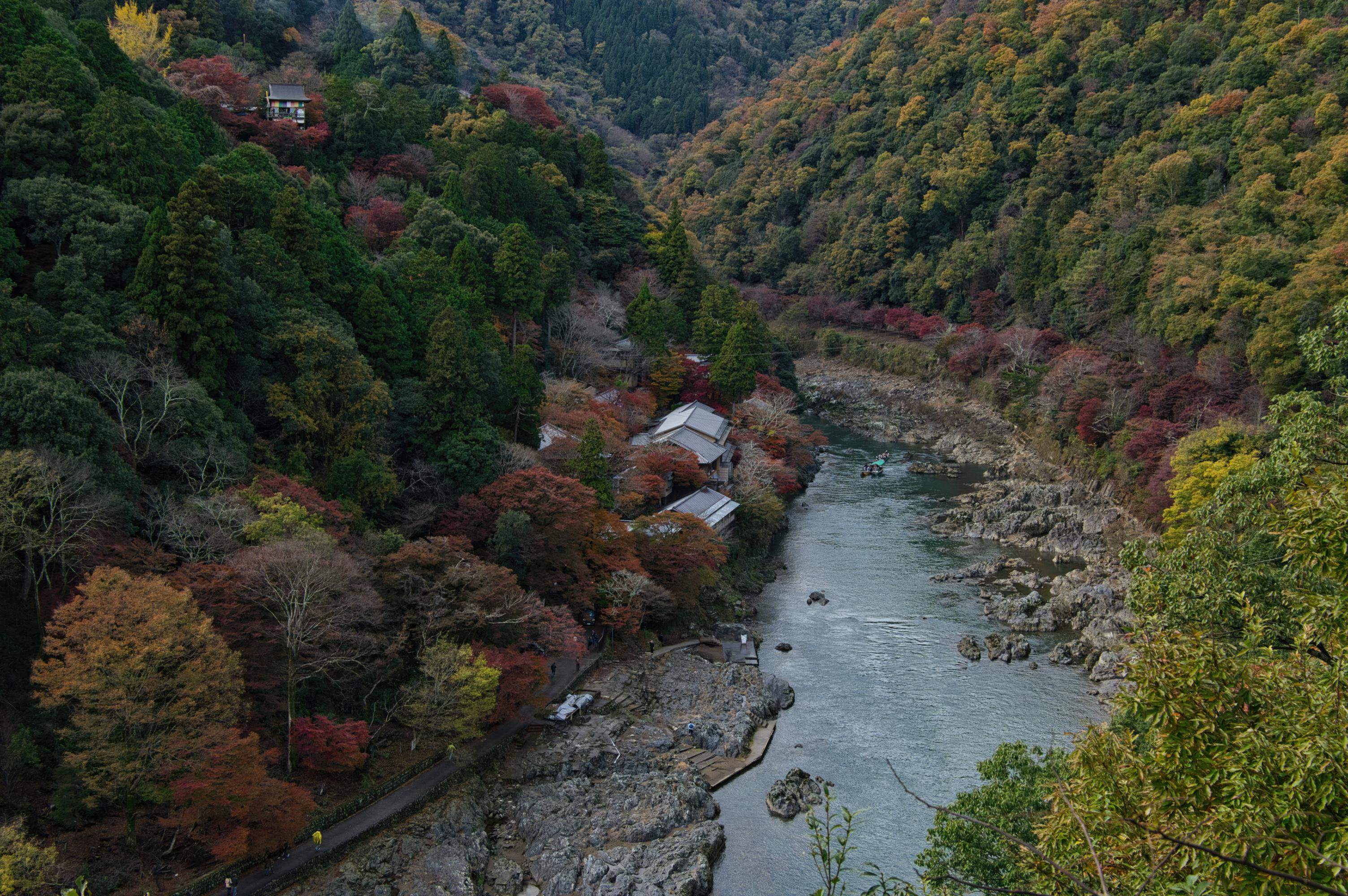 🌳 가타마에야마 산림 공원 (가타마에야마 신린코엔) 이미지 3